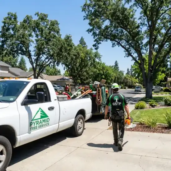 Rings Tree Service truck arriving at a New Orleans residential job