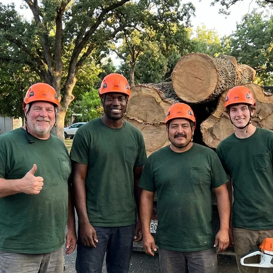 Rings tree crew with a truck loaded with oak logs in New Orleans